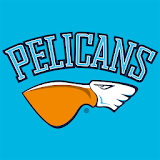 Pelicans icon
