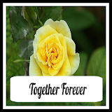 Together Forever (Free) icon