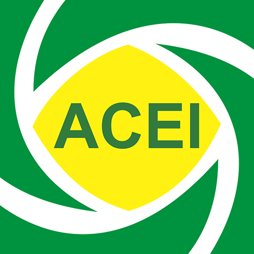 ACE Itapira logo