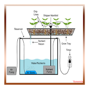 hydroponic grow system