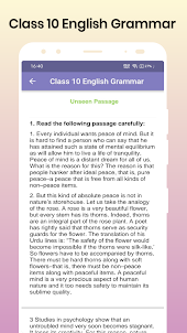 Class 10 English Grammar Notes