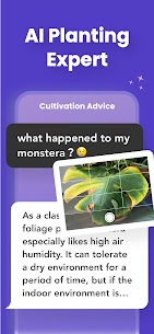 Nature AI – Ask AI Anything APK for Android Download 4