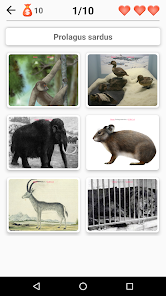 Screenshot 1 Extinct animals! Endangered sp android