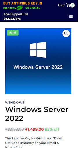 Online Software Store Screen 3