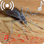 Cover Image of Télécharger Mosquito Sounds Ringtone  APK