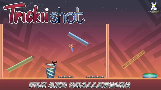 Trick Shots Puzzle Game