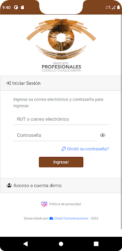 SINDPRO - Codelco Chuquicamata Screen 2