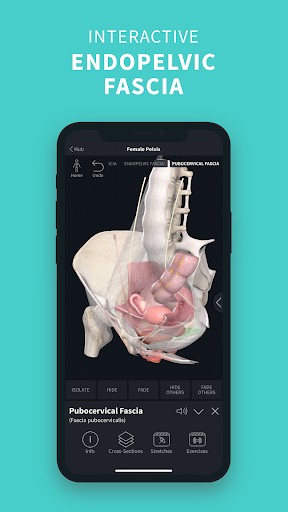 Complete Anatomy u201821 - 3D Human Body Atlas 6.4.0 Screenshots 7