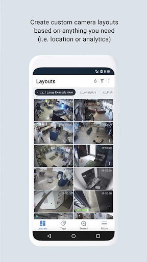 Screenshot of Eagle Eye Viewer