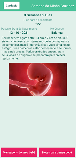Visualização do aplicativo
