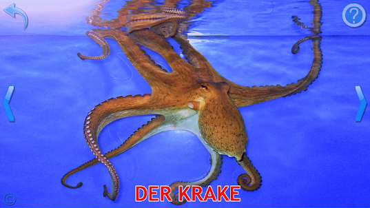 Tiere für Kinder (Vollversion)