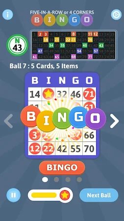 Game screenshot Bingo Mania - Light Bingo Game apk download