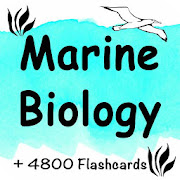Marine Biology Practice Test +4800 Flashcards