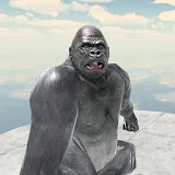 Gorilla us put a poultice icon