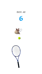 Cat Doge Tennis