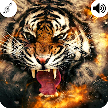 Tiger Sound for PC / Mac / Windows 11,10,8,7 - Free Download ...