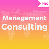 Management Consulting 2017 Pro icon