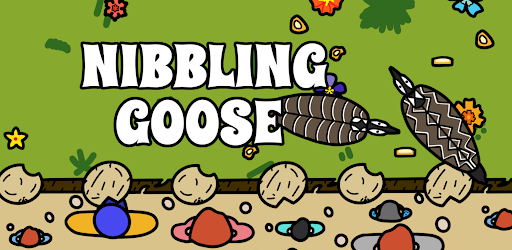 Nibbling Goose