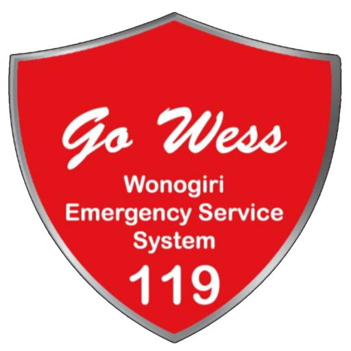 Wonogiri 119 logo