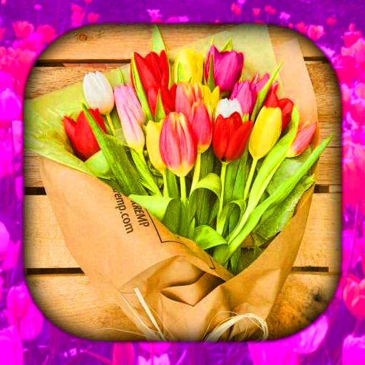 Tulip Wallpaper Live HD/3D/4K logo
