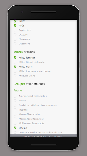 SPM Boreal Screen 3