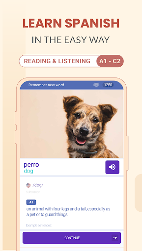 Learn Spanish Language Easily screenshot 8