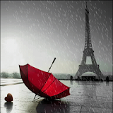 Rainy Red Umbrella LWP icon