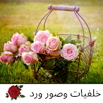 Cover Image of Baixar Rose wallpapers - Amazing roses images 3 APK