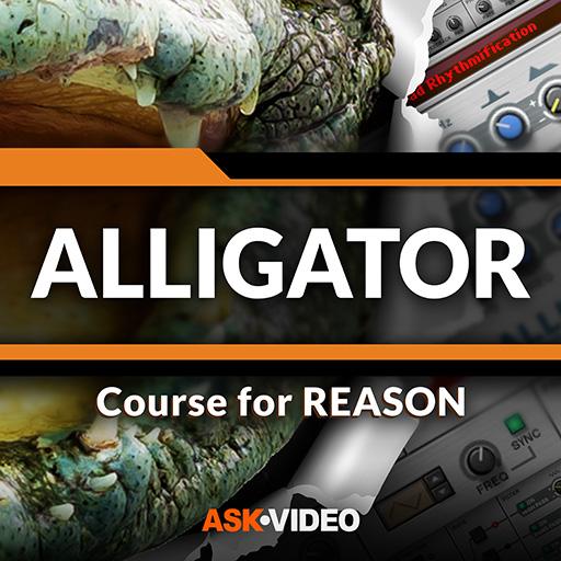 Alligator Course for Reason by 7.1 Icon