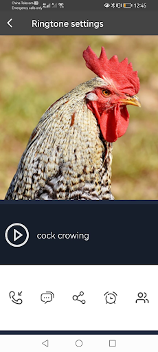 Funny Alarm Clock Ringtones Screen 2