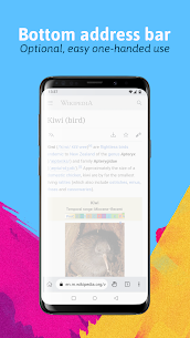 Kiwi Browser Apk 1