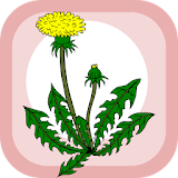 Home herbal icon