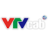 VTVcab eOffice
