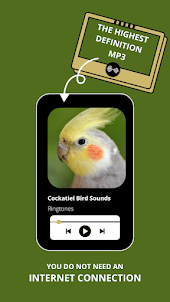Cockatiel bird sounds