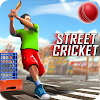 Street Criket-T20 Cricket Game icon