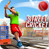 Street Criket-T20 Cricket Game