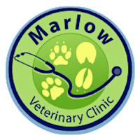 Marlow Vet