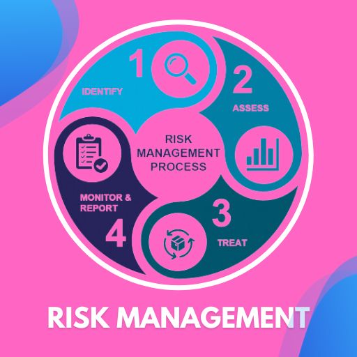 Risk Management Hints logo