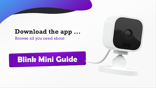 Blink Mini Guide