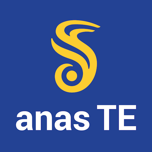 Trasporti Eccezionali logo