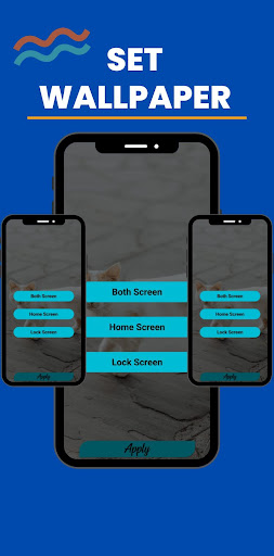 Walls Coat Wallpaper App 2023