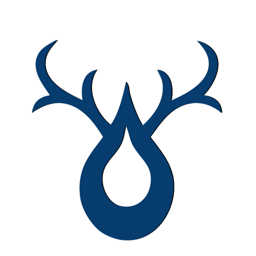 Boly Camera logo