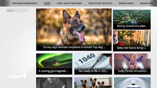 Screenshot of WSMV 4