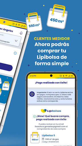LipiApp MiCuenta Screen 2
