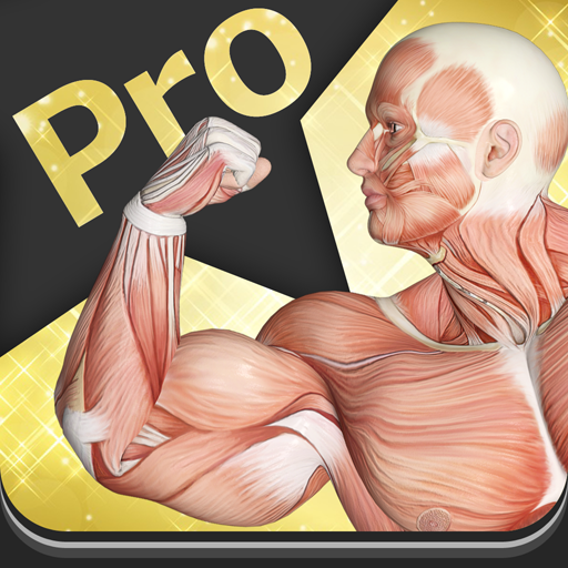 筋肉暗記PRO 1.2 Icon