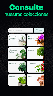 NatureID - Identificar plantas Screenshot