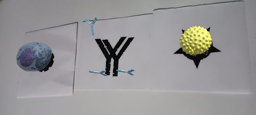 Android application AR Immunoglobulin E screenshort