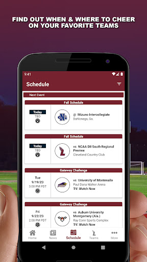 Lee University Flames Screen 2