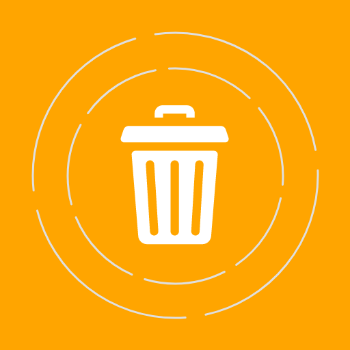 Recycle bin: Video recovery Download on Windows