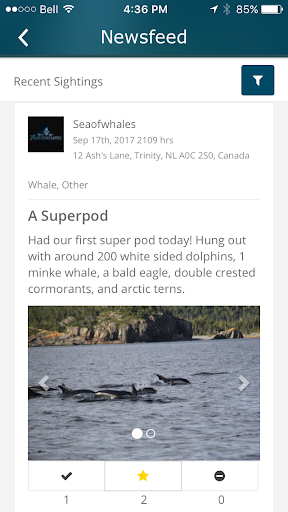Iceberg Alley - Sightings Screen 3